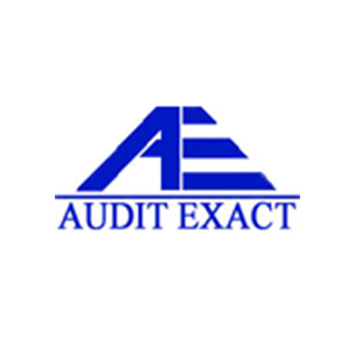 Audit Exact