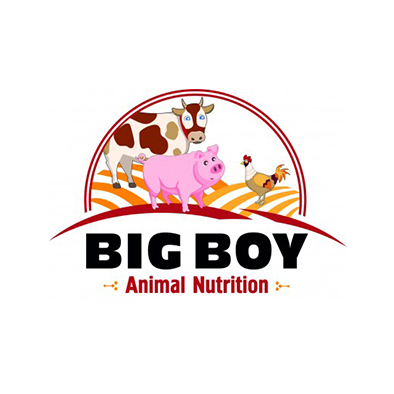 Big Boy